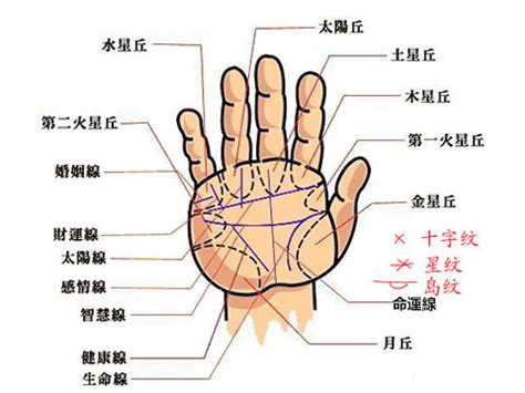 無名指下三角紋|手掌紋路圖解大全